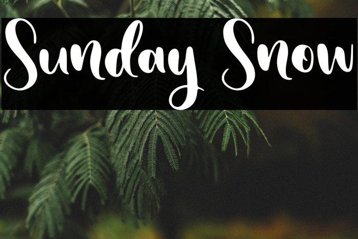 Sunday Snow Example 2