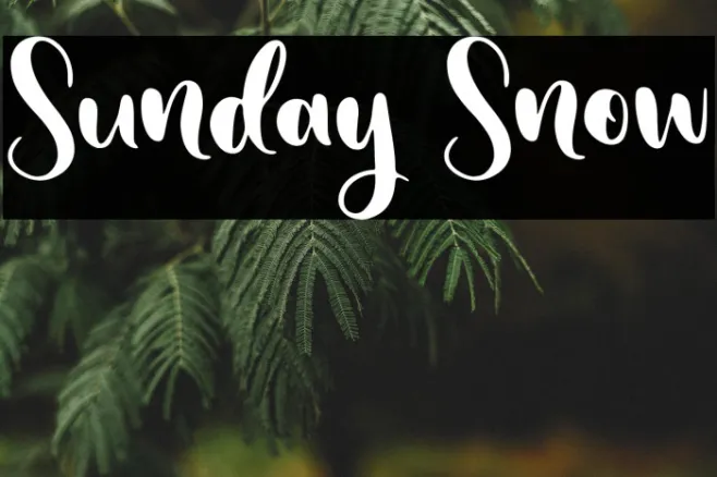 Sunday Snow Example 2