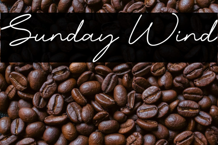 Sunday Wind Example 2