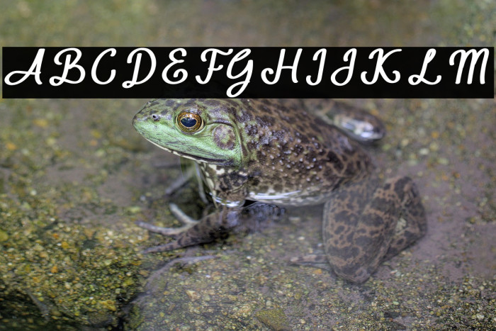 Sunday in Adelaide Example 1