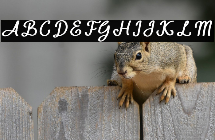 Sunday in Adelaide Example 2