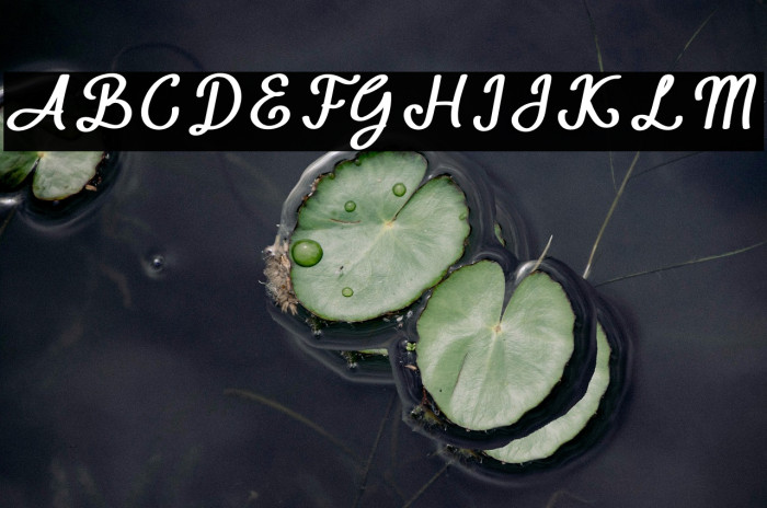 Sunday in Adelaide Example 3