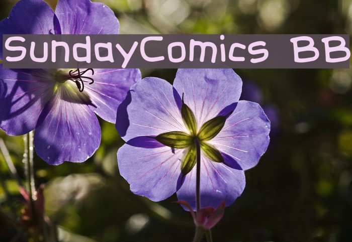 SundayComics BB Font examples