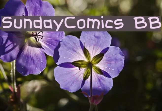 SundayComics BB Example 3
