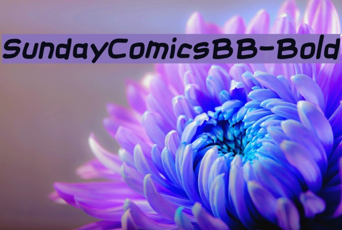 SundayComicsBB-Bold Example 1