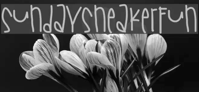 SundaySneakerFun Font examples