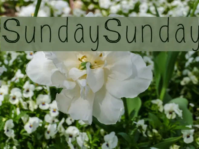 SundaySunday Example 3