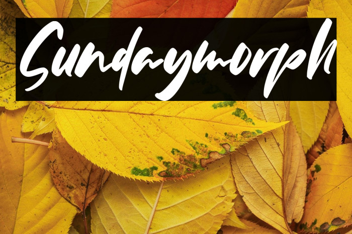 Sundaymorph Example 1