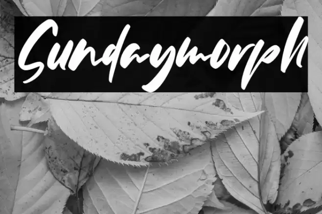 Sundaymorph Font examples