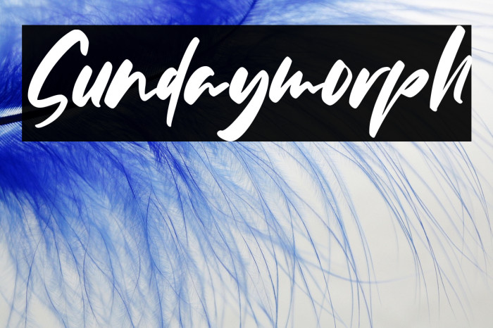 Sundaymorph Example 3