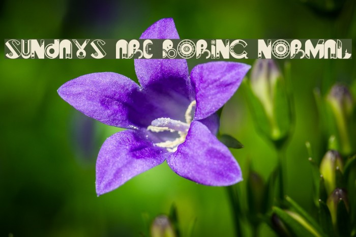 Sundays are Boring Normal Font examples