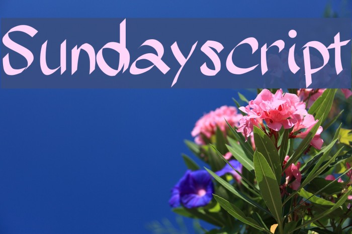 Sundayscript Font examples