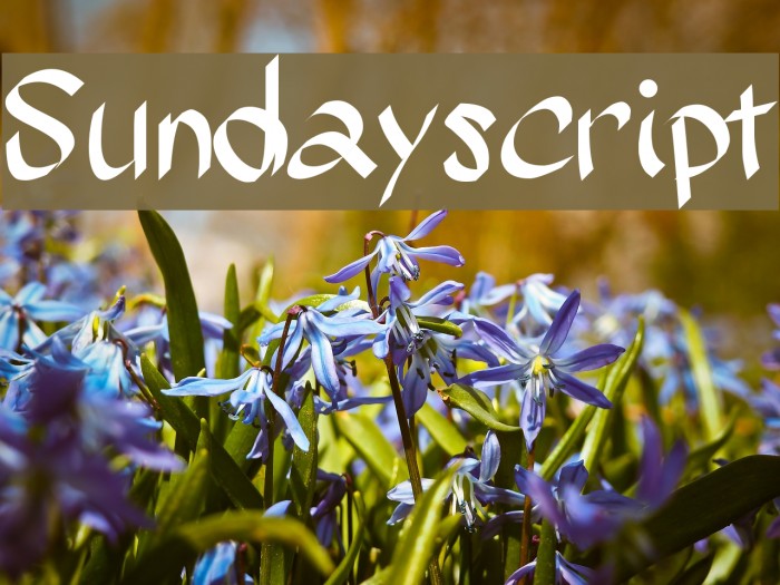 Sundayscript Font examples