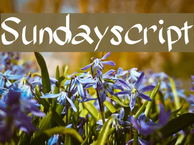 Sundayscript Example 2