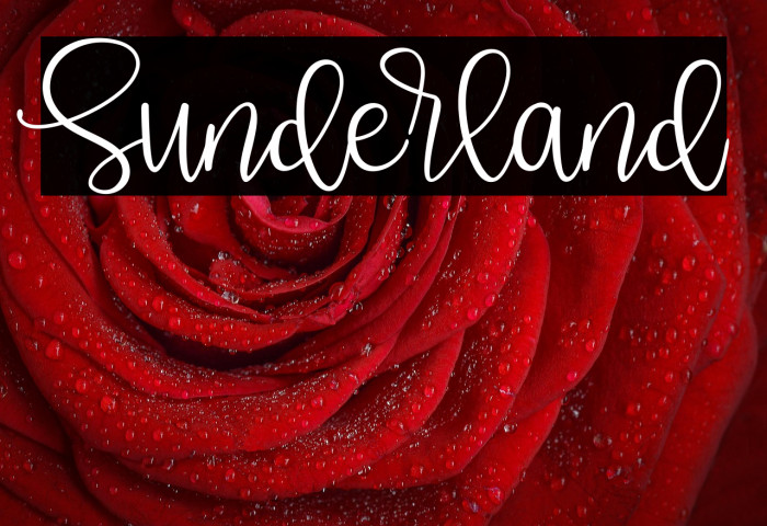 Sunderland Example 1