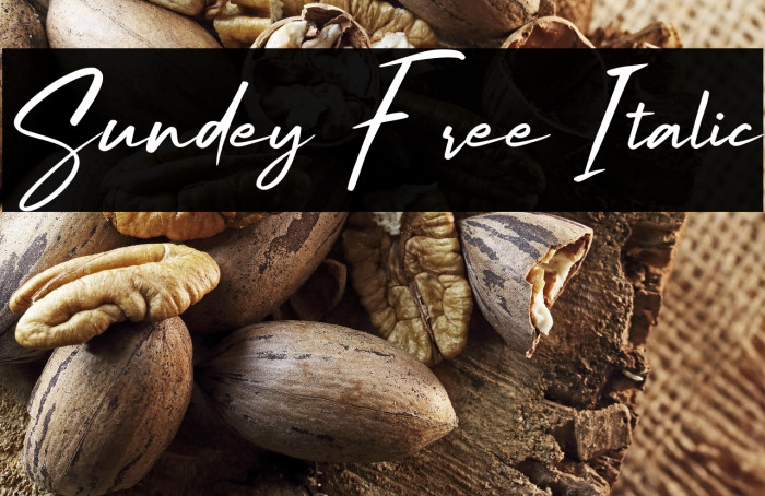 Sundey Free Italic Example 1