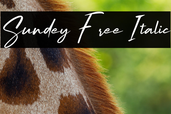 Sundey Free Italic Example 2