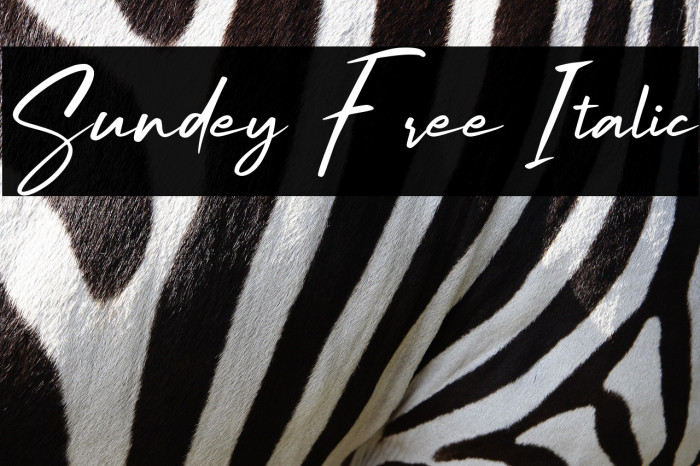 Sundey Free Italic Example 3