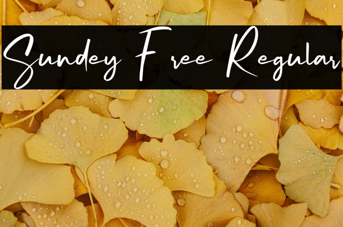 Sundey Free Regular Example 1