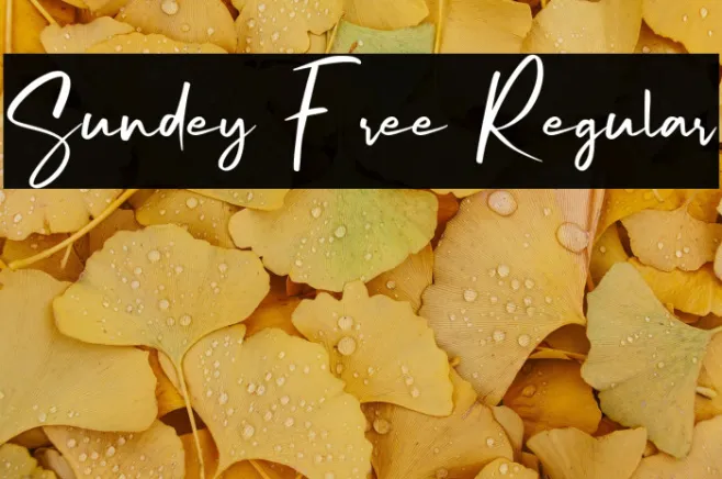 Sundey Free Regular Example 1