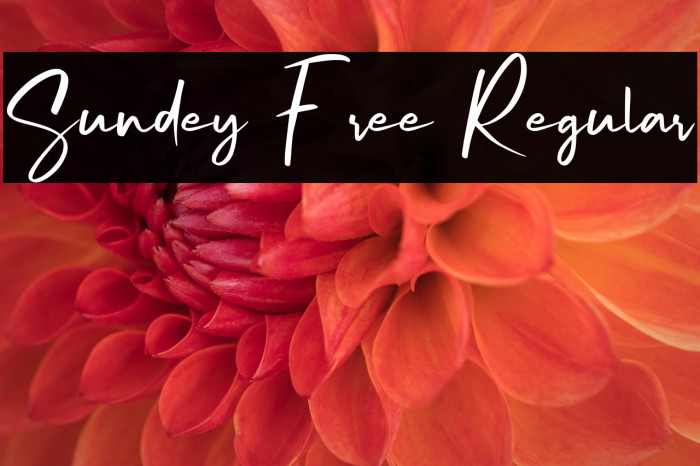 Sundey Free Regular Example 2