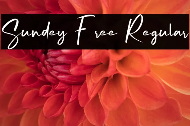 Sundey Free Regular Example 2