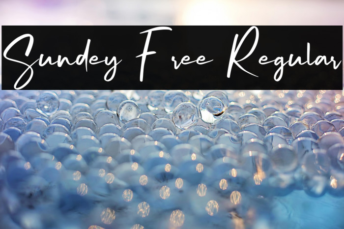 Sundey Free Regular Example 3