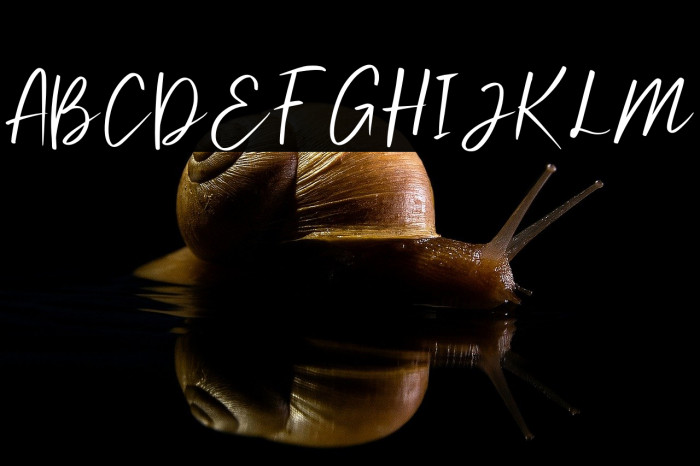 SundeyFree-Regular Example 2