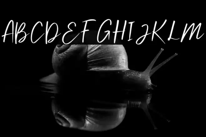 SundeyFree-Regular Font examples