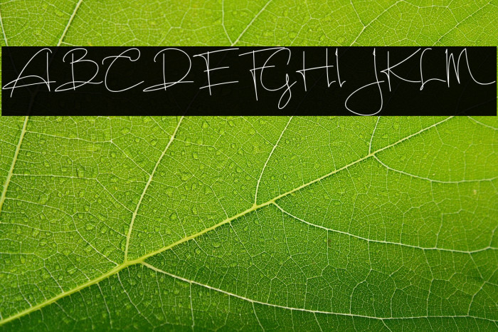 Sundiary Demo Example 2