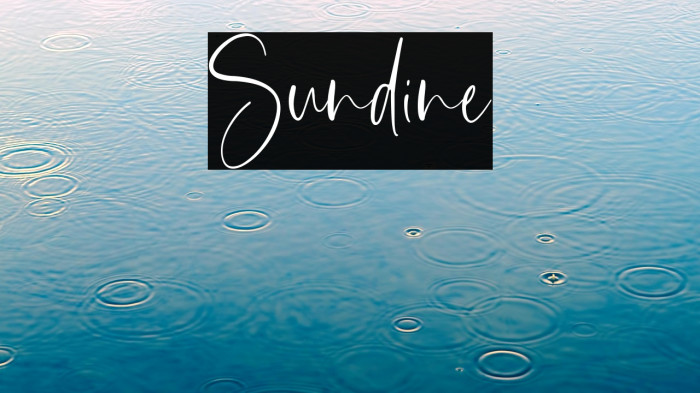 Sundine Example 1