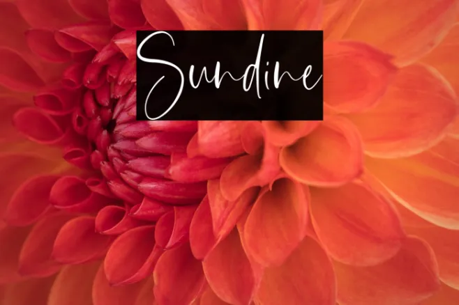 Sundine Example 3