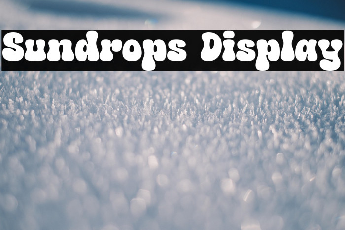 Sundrops Display Example 1