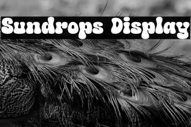 Sundrops Display Font examples