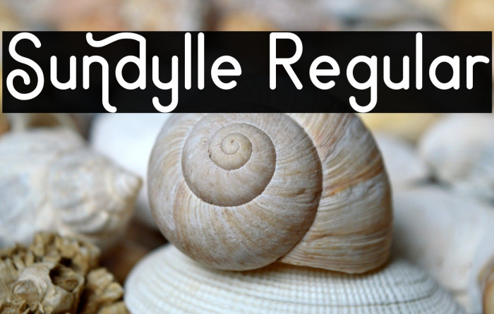 Sundylle Regular Example 3