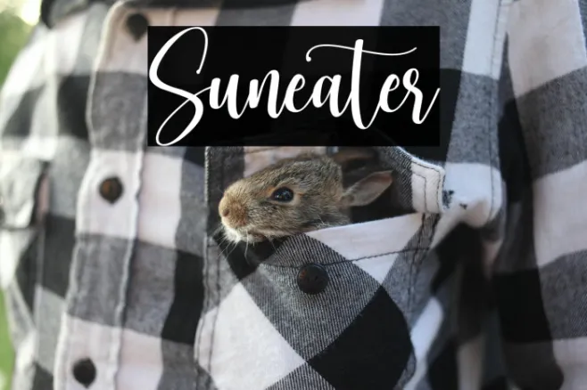 Suneater Example 1