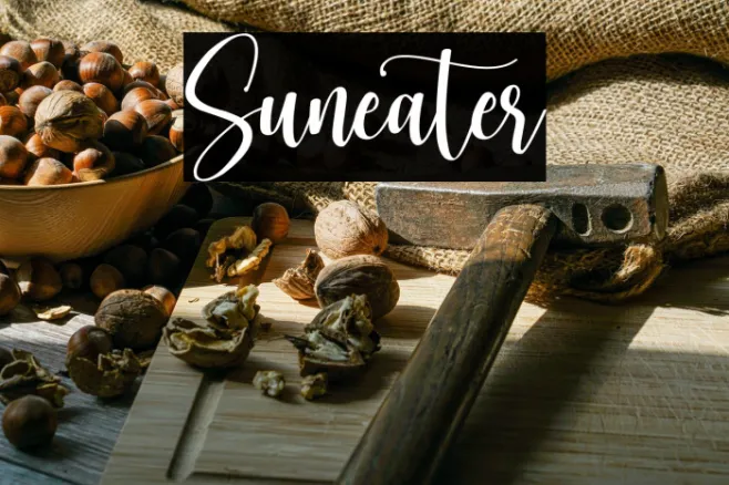 Suneater Example 2