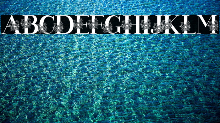 Sunflor craft Font examples