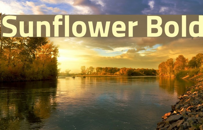 Sunflower Bold Font examples