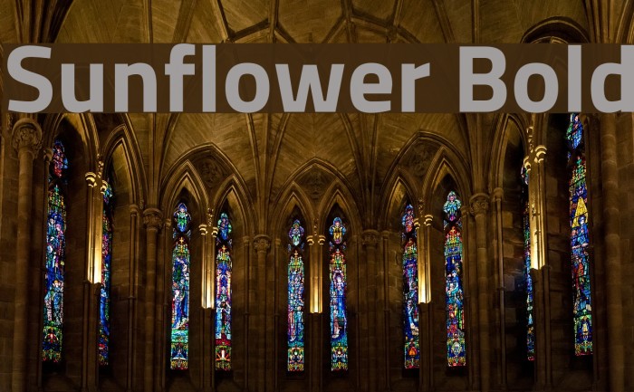 Sunflower Bold Font examples