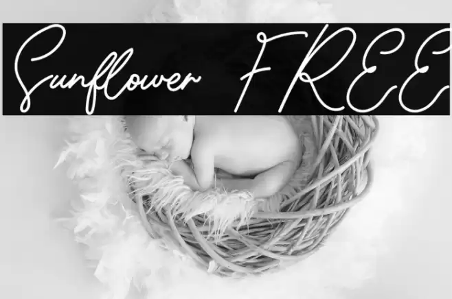 Sunflower FREE Font examples
