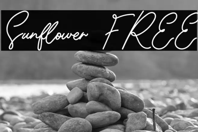 Sunflower FREE Font examples