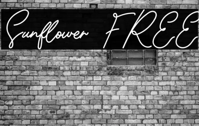 Sunflower FREE Font examples