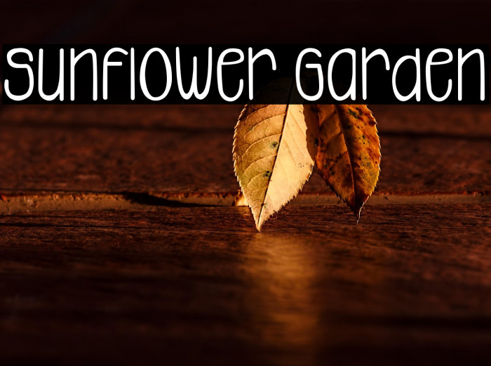 Sunflower Garden Example 1