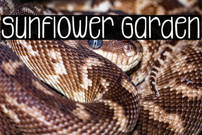 Sunflower Garden Example 3