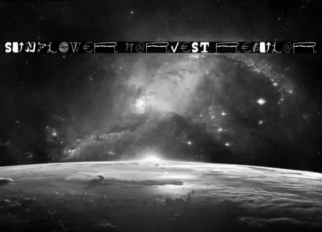 Sunflower Harvest Regular Font examples