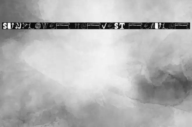 Sunflower Harvest Regular Font examples