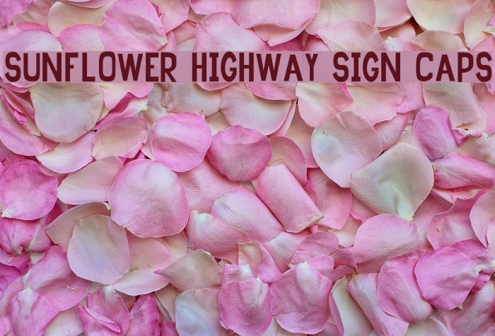 Sunflower Highway Sign Caps Font examples