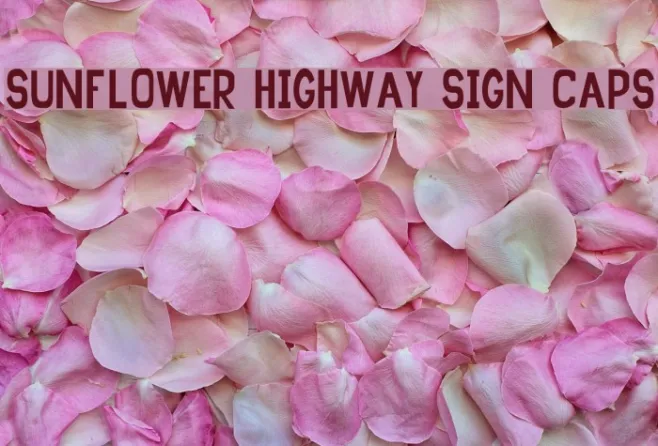 Sunflower Highway Sign Caps Example 1