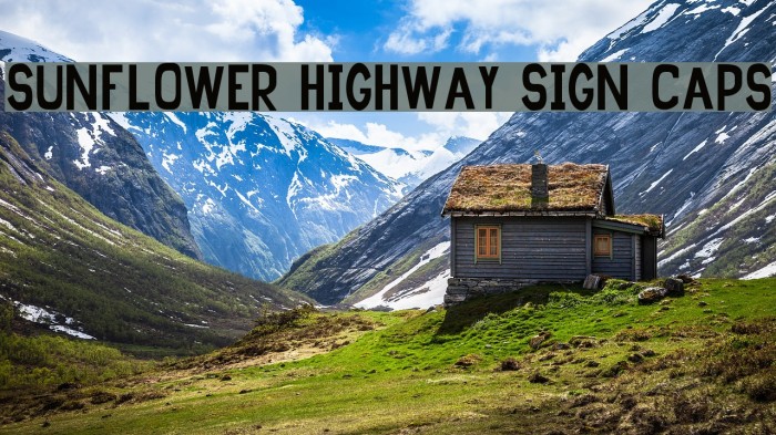Sunflower Highway Sign Caps Font examples